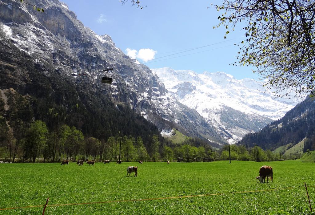 Base Cafe Apartment Lauterbrunnen Ngoại thất bức ảnh